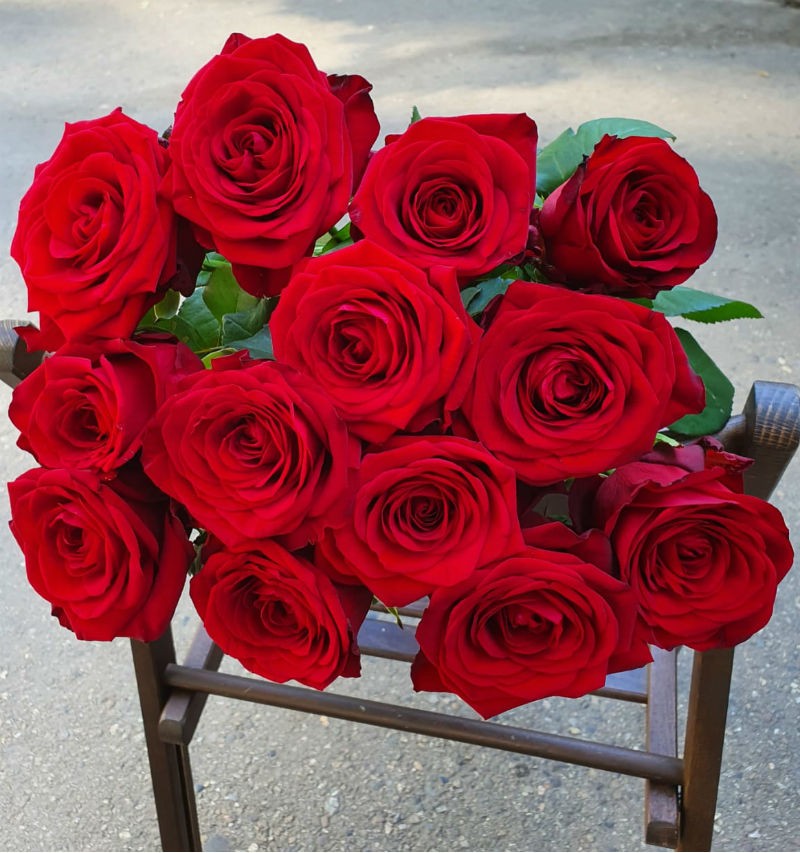 Букет из 13 красных роз